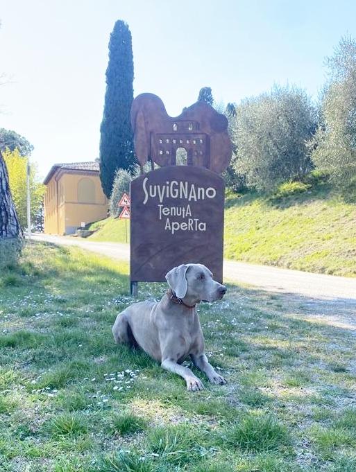 Torna domenica 21 alla Tenuta di Suvignano &#34;Donne per il sociale...